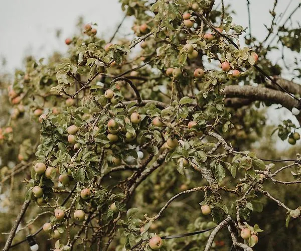 The Millhouse Отель Слейн